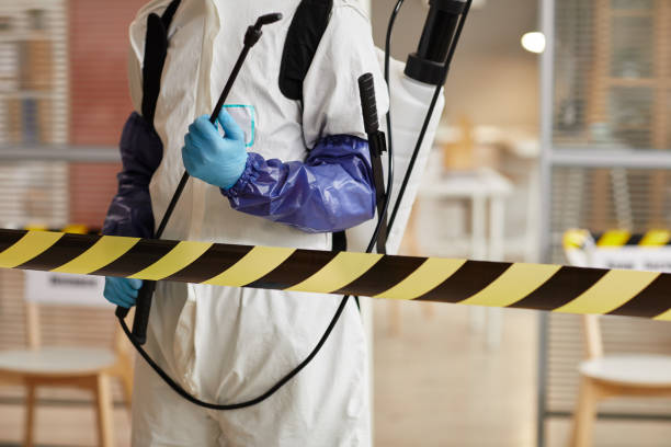 Professional Hoarding Cleanup technician working in Matheson, CO